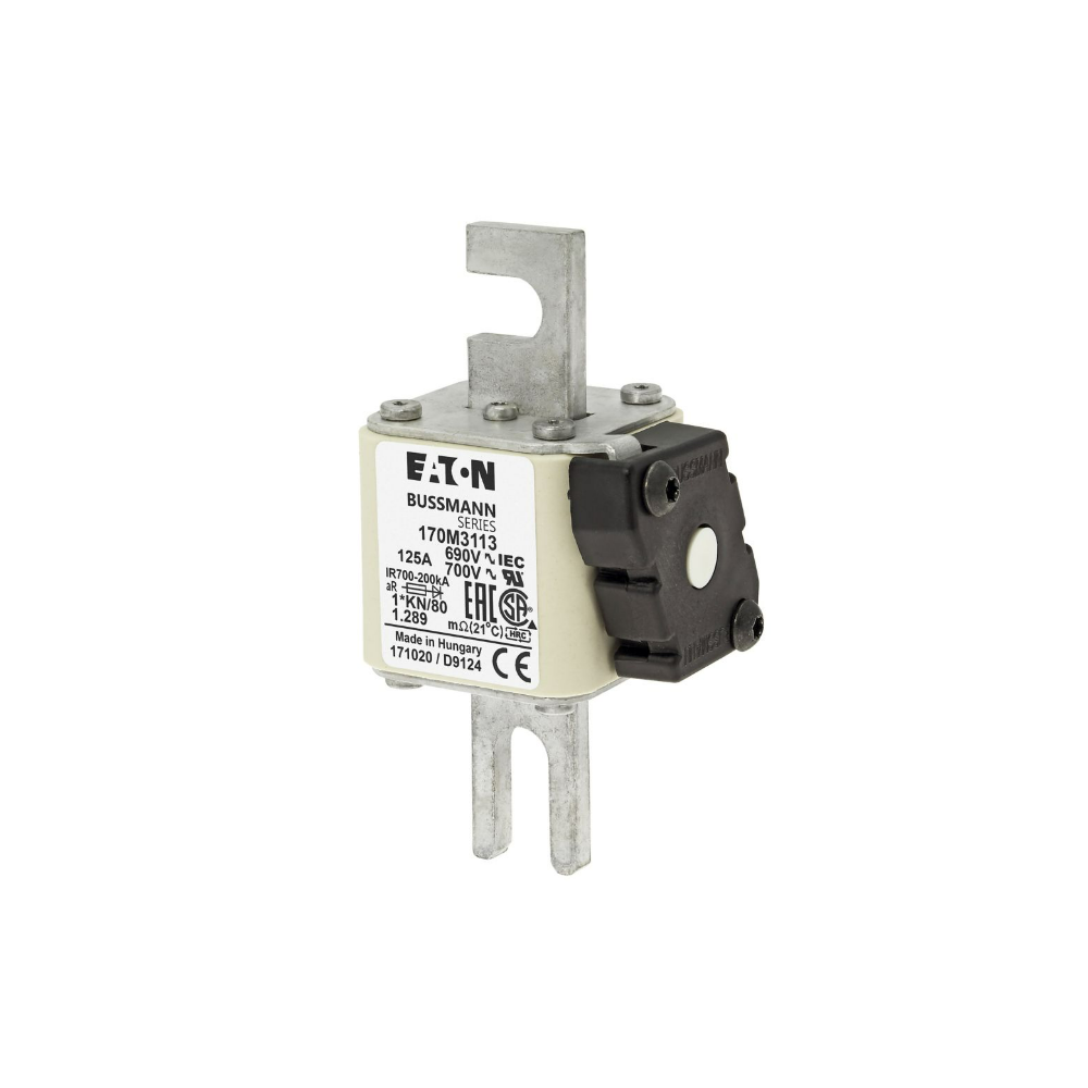170M3113 125A 690V 1KN/80 AR UC HIZLI KARE TİP SİGORTA
